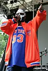 MF DOOM performs at a benefit concert for the Rhino Foundation at Central Park's Rumsey Playfield on June 28, 2005 in New York City.