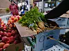 A box of vegetables at a food pantry.
