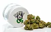 A Definitive Ranking of The Strongest Rapper Weed Strains - 4