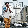 Joey Bada$$ Announces 'B4.DA.$$' US Tour Dates