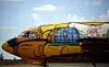 OS GEMEOS Plane for Brazil
