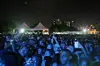 AfroPunk Festival 2012 headlined by Erykah Badu & The Cannibinoids
