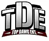 tde-fan-appreciation-grammys-show-feat