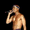 Tupac shakur live in concert 9