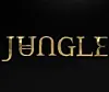 UK Duo JUNGLE Drops Their Latest Single 'Time' Ahead Of Their Forthcoming Self-Titled LP Arriving July 15th Via XL Recordings.