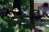Children cool off in water fountains at Herbert Von King Park on July 20, 2019 in Brooklyn borough of New York City.