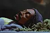 An animated Snoop lays on a bed of marijuana.