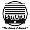 strata-records-indiegogo-campaign-lead