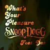 snoop-dogg-daz-whats-your-pleasure-lead