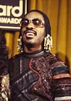 Stevie wonder braids