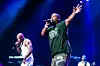 Naughty by Nature, Roots Picnic 2013