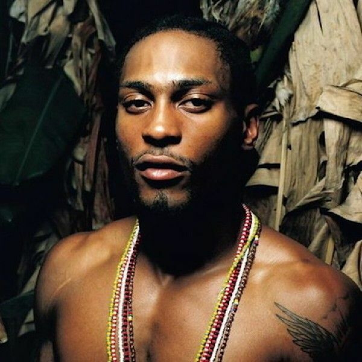 洋楽 D'Angelo / Voodoo Remixes Kero One Kero One - D'angelo Voodoo Remixes (Vinyl) | NEWTONE RECORDS